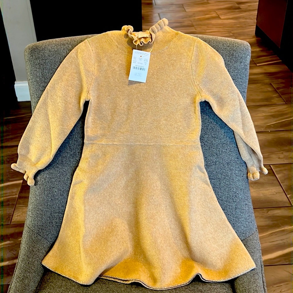 J crew little girls dress size 4 brand new